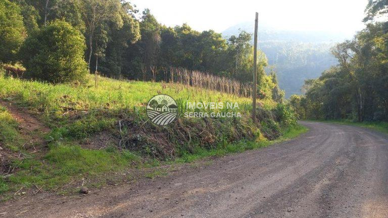 CHÁCARA EM ARROIO PAIXÃO- NOVA PETROPOLIS