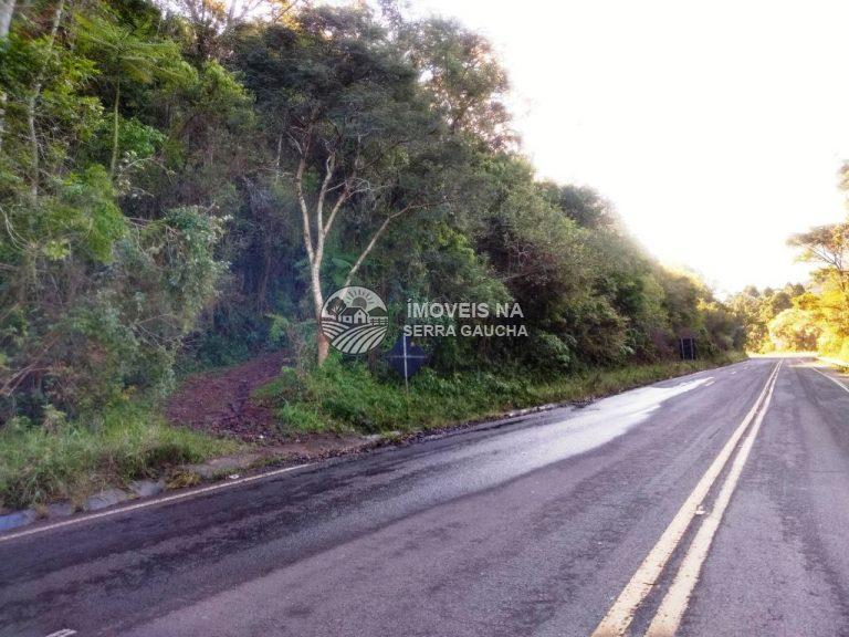 AREA RURAL EM NOVA PETROPOLIS-RS