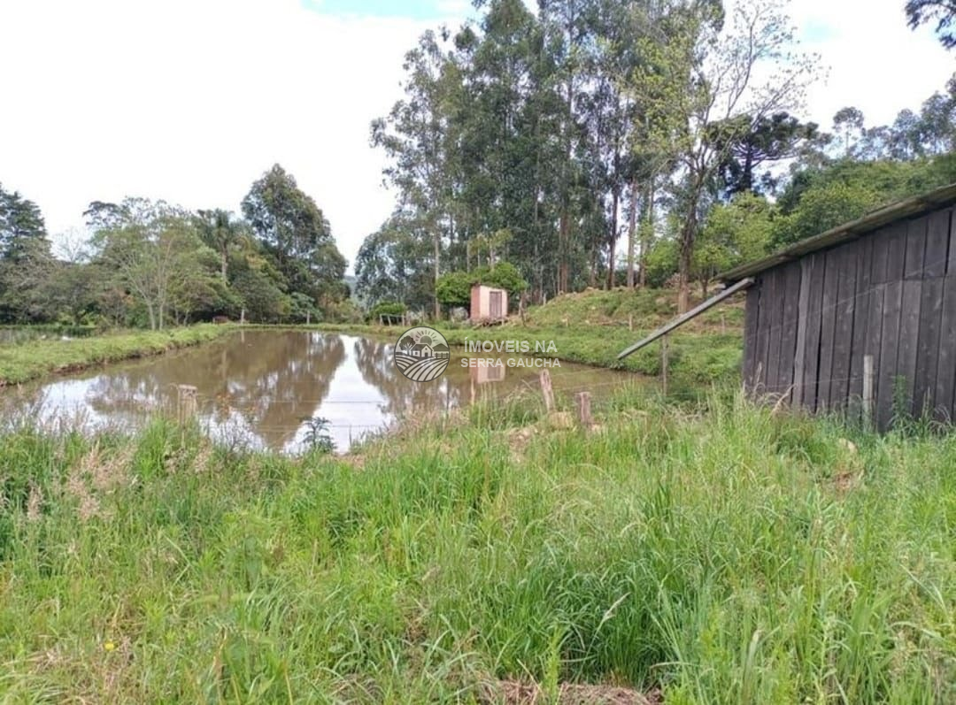 CHACARA EM FARROUPILHA-RS  QUARTO DISTRITO