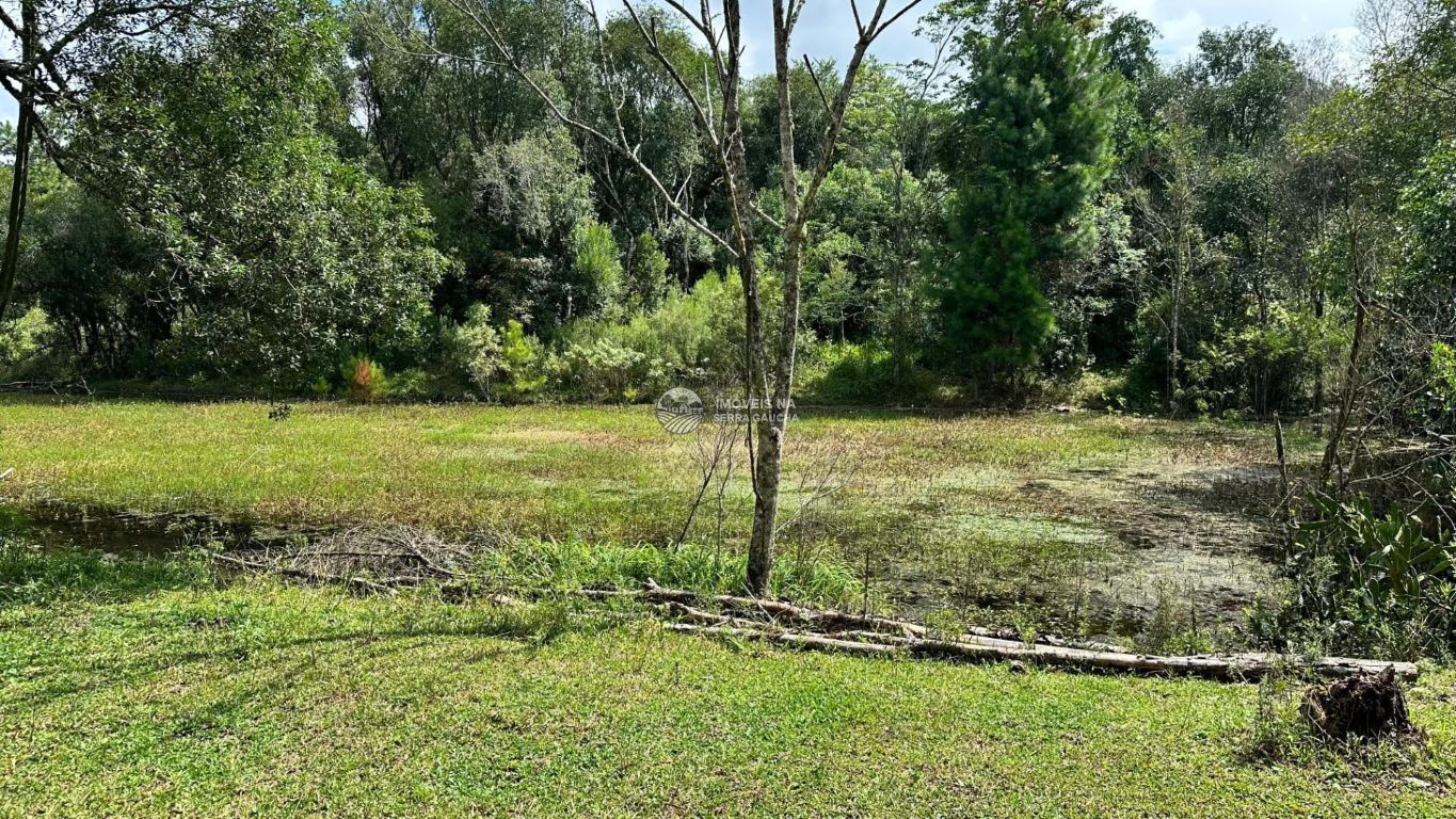 CHACARA LINHA PALMEIRO-FARROUPILHA-RS