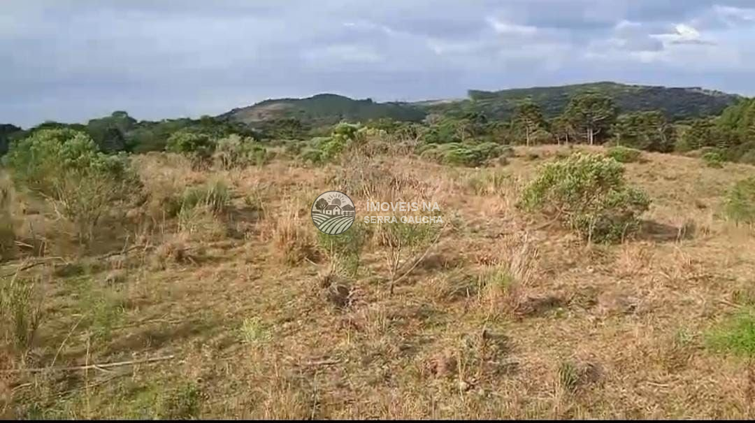 AREA DE TERRAS EM CAMBARÁ DO SUL-RS