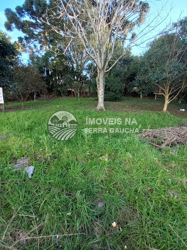 TERRENO BAIRRO PANAZZOLO- CAXIAS DO SUL