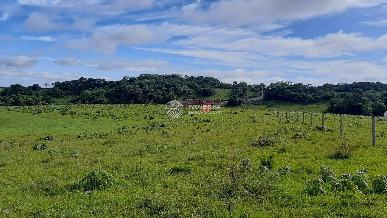 CHÁCARA EM CRIUVA- CAXIAS DO SUL